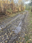 Foto: Stark beschädigter Waldweg 
